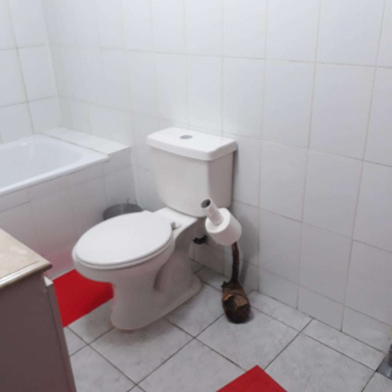 La Llar Hostel Panguipulli Dış mekan fotoğraf